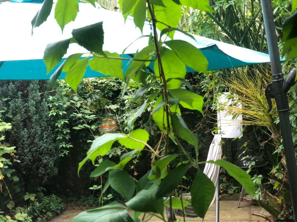 Chelsea Private Garden Maisonette Lejlighed London Eksteriør billede